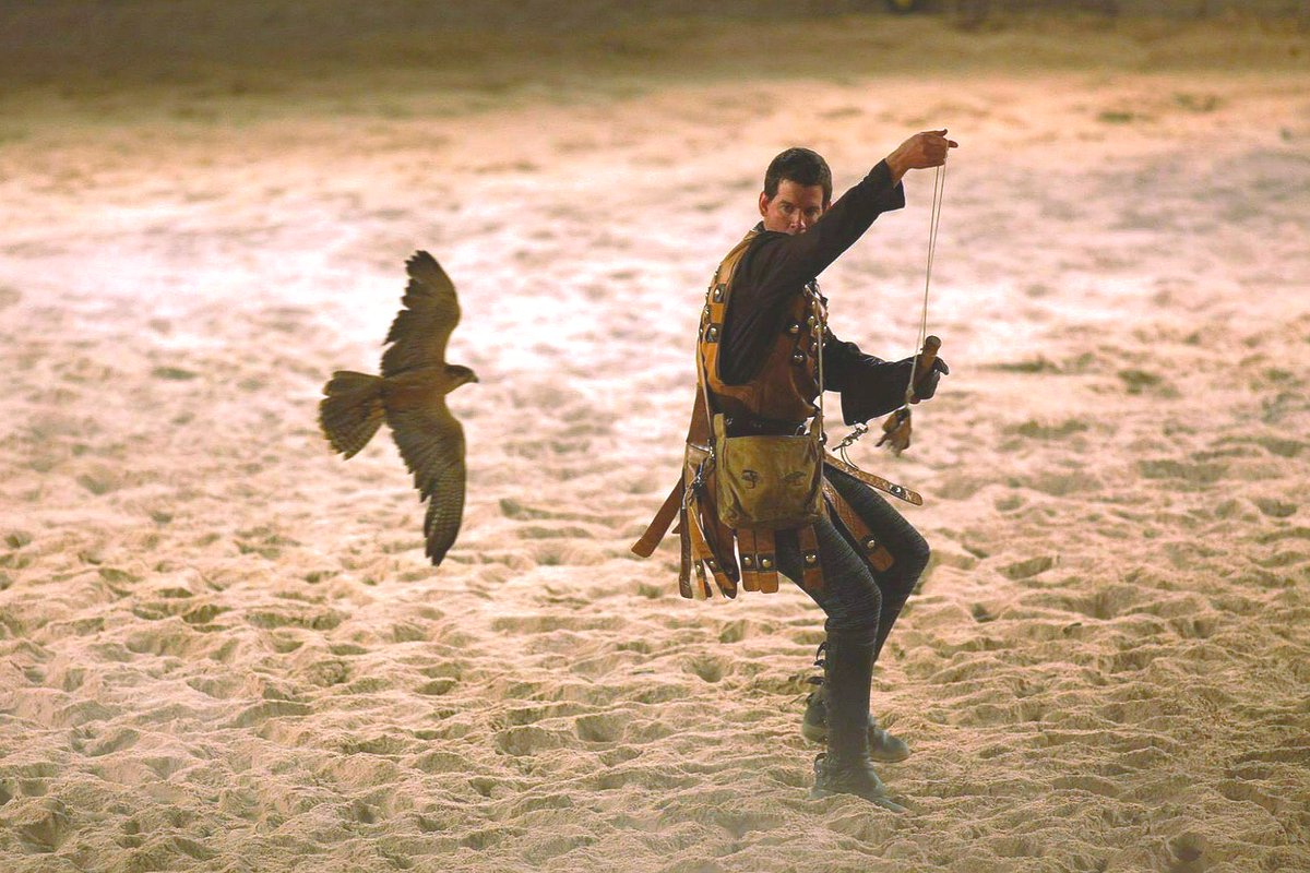 Medieval Times tweet media