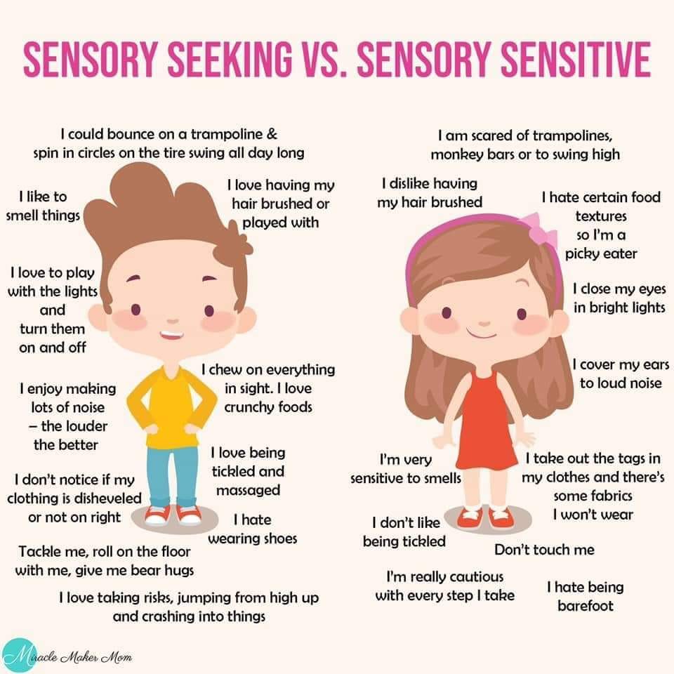 What's the difference between sensory seeking and sensory sensitive? Via Miracle Maker Mom #sensoryskills #occupationaltherapy #sensoryprocessing #sensoryprocessingdisorder