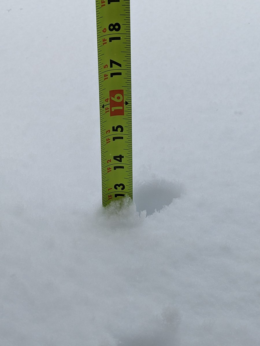 40 degrees but we still got 13" of snow last night. Perfect spring weather!  🙄