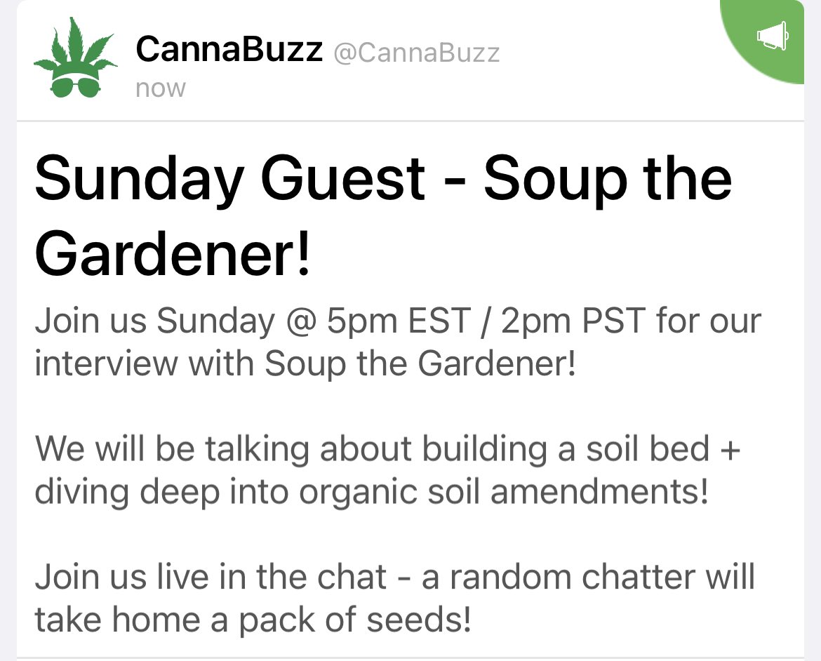 CannaBuzz tweet media
