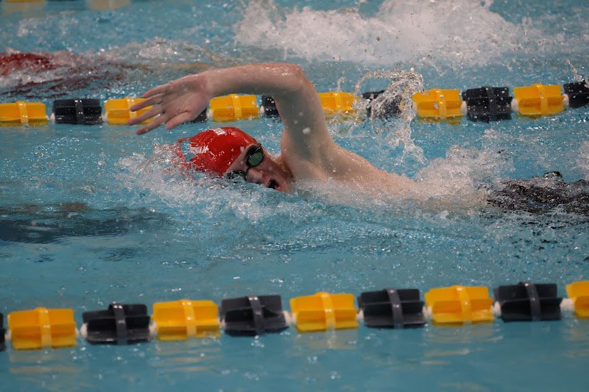 BR Swim & Dive tweet media