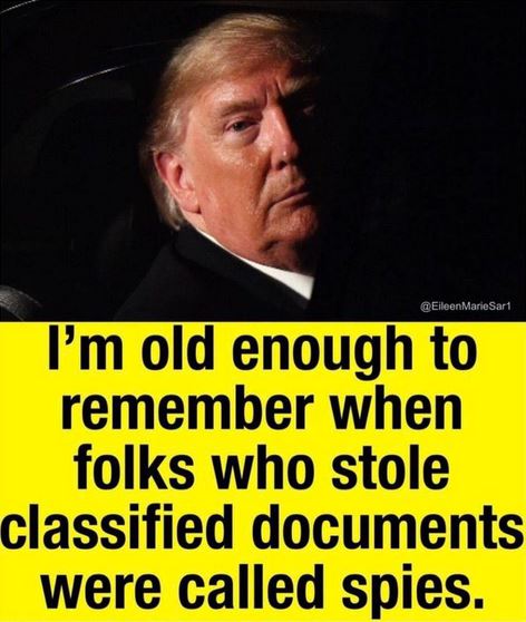 Dannoz4's tweet photo. What should we call Congress and tell them? How about "Surrender Donald"? https://t.co/PGa6KTuReX