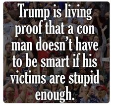 Dannoz4's tweet photo. What should we call Congress and tell them? How about "Surrender Donald"? https://t.co/PGa6KTuReX