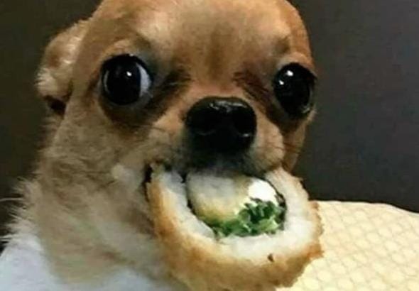 monaacida's tweet photo. Eu: preciso fazer dieta
Também eu: https://t.co/cO6fpS8rHY