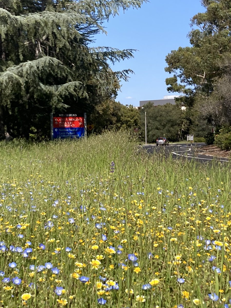 Sol Savchuk 🇺🇦 tweet media