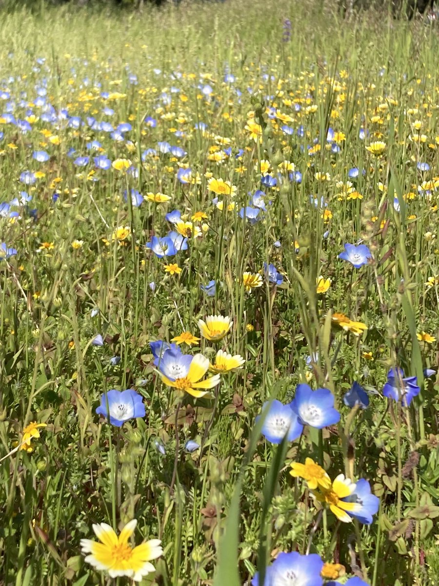 Sol Savchuk 🇺🇦 tweet media