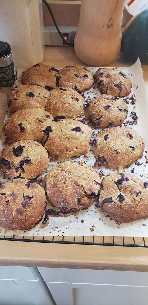 AmandaJoyO's tweet photo. Today was a day for gluten-free baking. Behold my buckwheat blueberry and chocolate chip scones.
#KitchenAntics #baking https://t.co/dZwRBNDskJ
