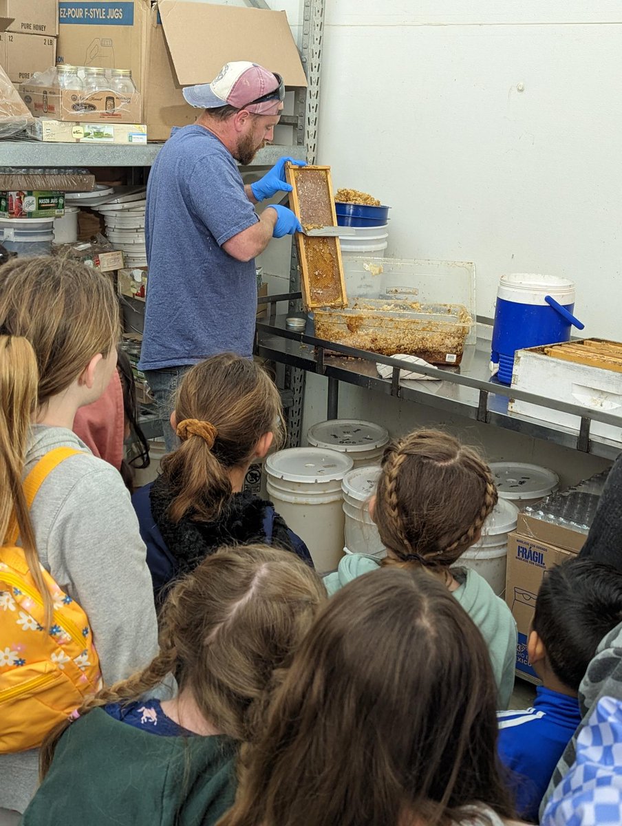 VUSD Expanded Learning tweet media