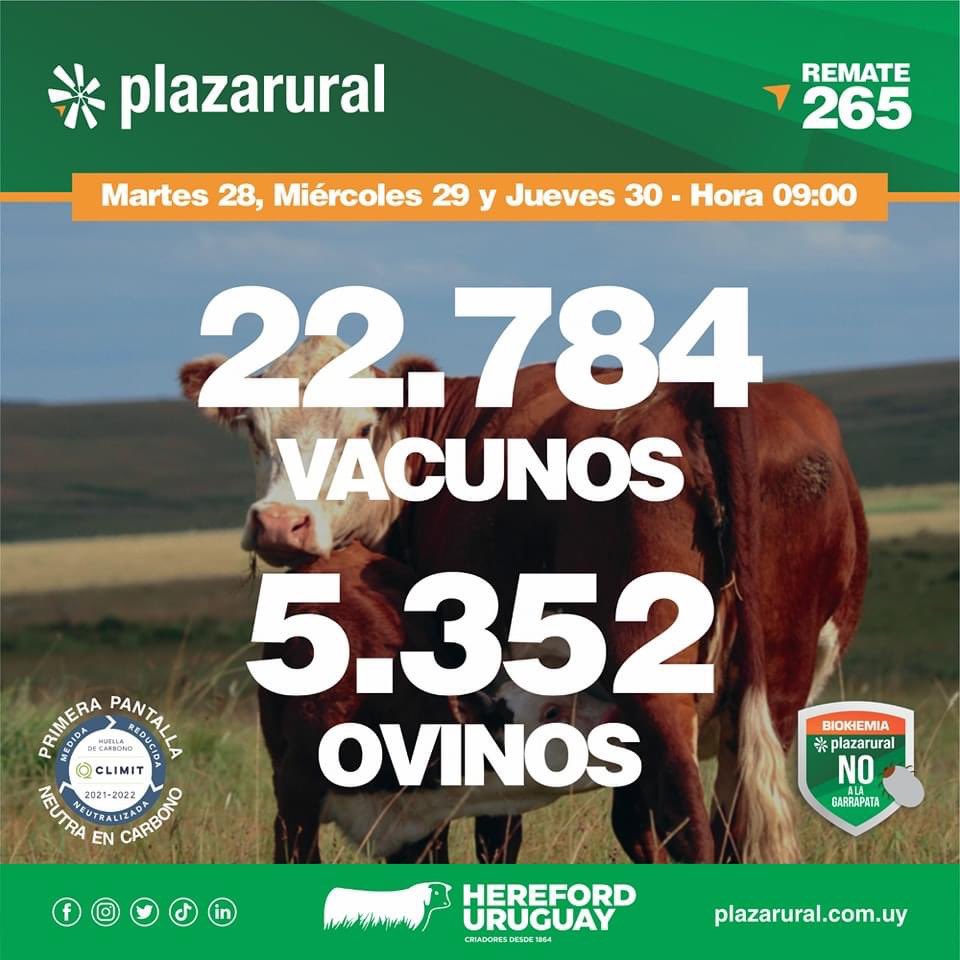 <a href="/plazarural/">plazarural</a> 
Se viene el TERCER remate de Marzo!!!