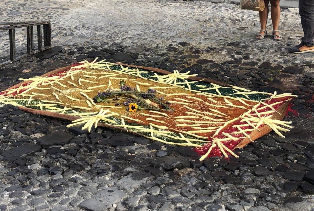 Dr. Ashley Kerr (@amuhlenkerr) on Twitter photo <a href="/SECOLAS_org/">SECOLAS</a> they’ve started an alfombra on 5a oriente between 2a y 3a norte if anyone wants to go see it <a href="/SECOLAS_org/">SECOLAS</a> they’ve started an alfombra on 5a oriente between 2a y 3a norte if anyone wants to go see it