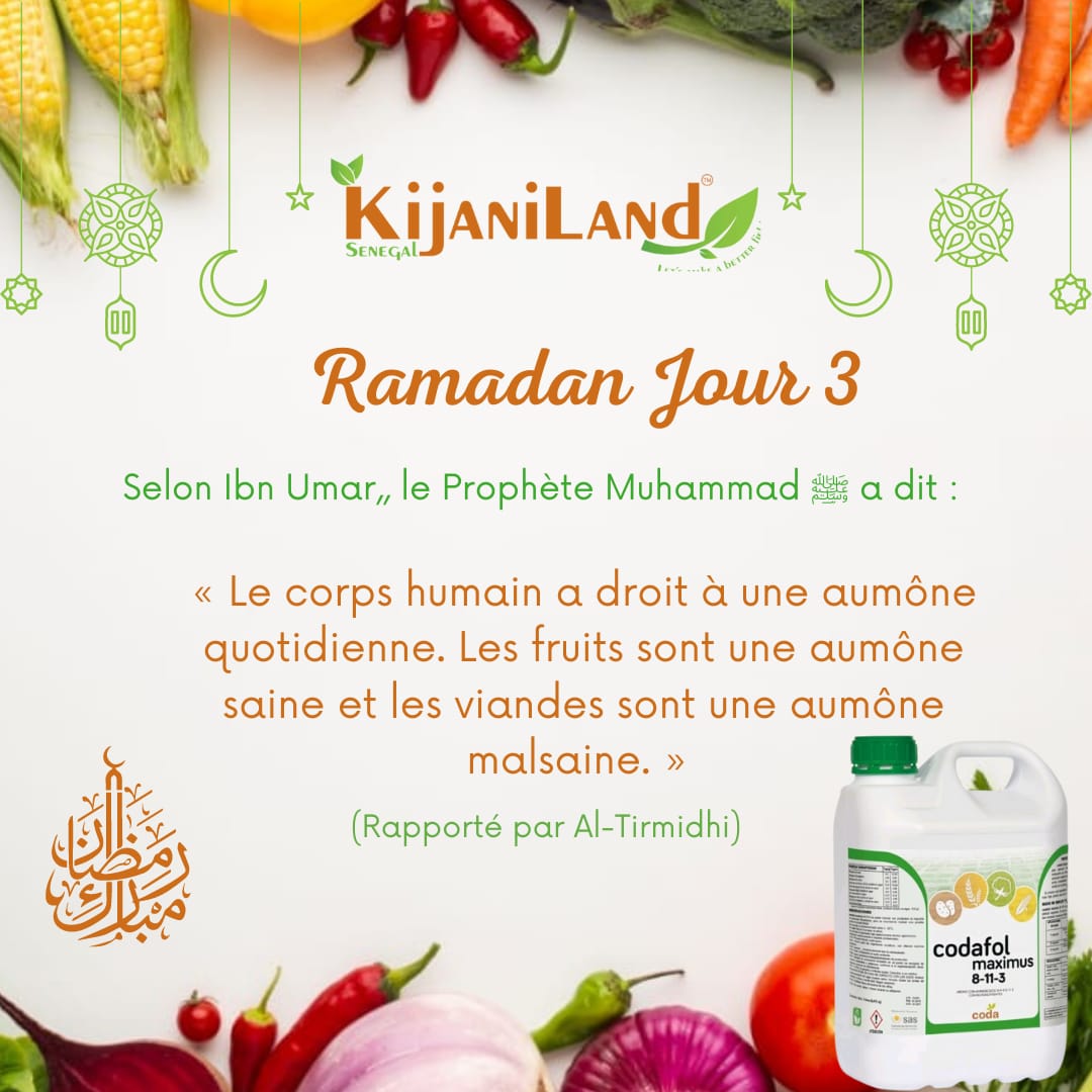 kijaniland's tweet photo. Un corps sain pour une vie saine!
#Ramadan #mubarak #Kijaniland #transformingafrica #theafricawewant #brandafrica #thisisafrica #OneAfrica #growth #betterafrica #strongertogether #beyonder #agriculturebio #agricultureraisonnée #terreperenne #isra #ensathies #horticulture https://t.co/pvSQRxQkBd