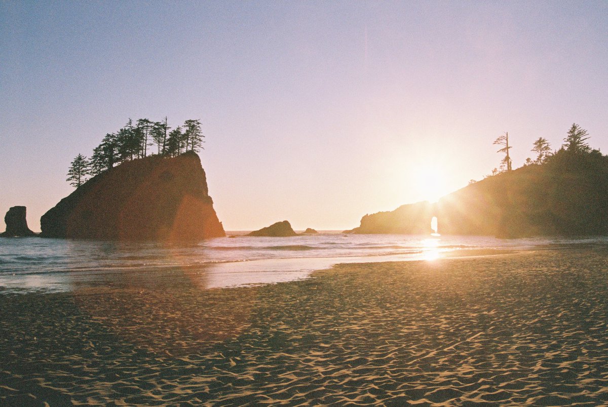 sarahshootsppl's tweet photo. One of the best sunsets of my life 🐳 

#sarahshootspeople #kodakportra800 #kodakfilm #FilmIsNotDead #lapush #olympicpeninsula #secondbeach https://t.co/BKnP4hmH29