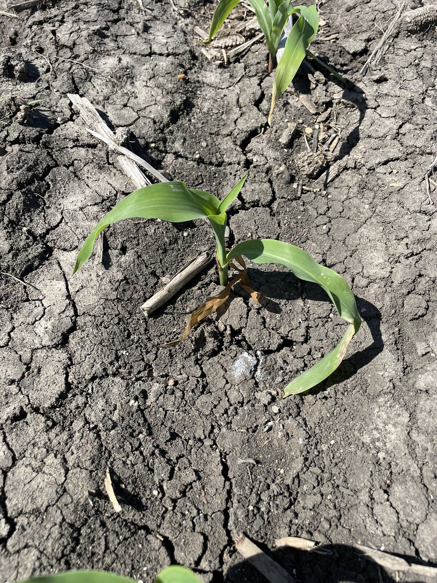 Travis Courtney tweet media