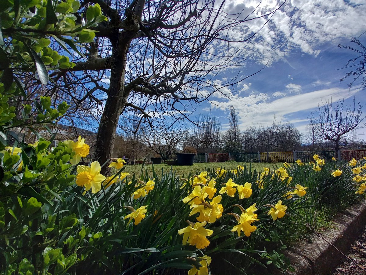 Primavera en Villalázara