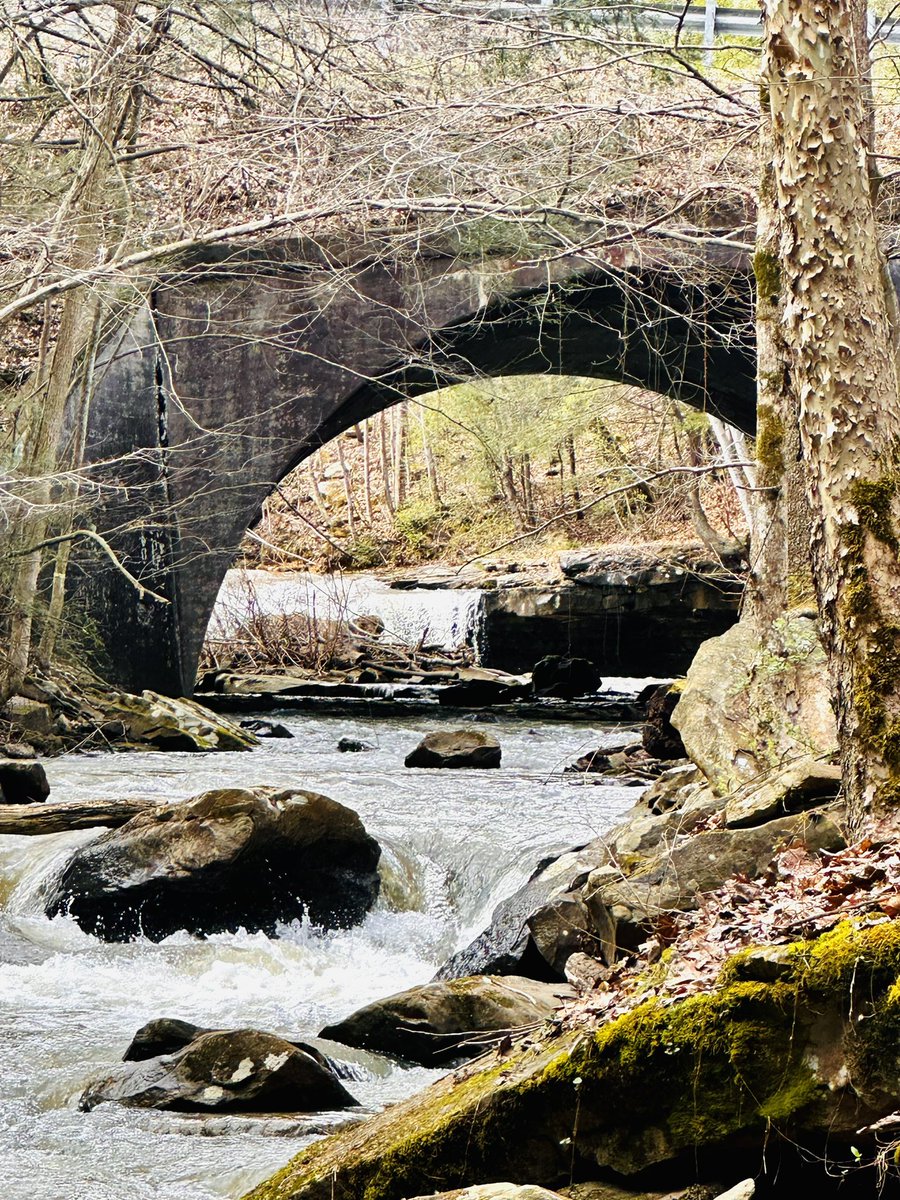 juliechristie74's tweet photo. The next #WaterfallChaserChallenge today was Drawdy Falls, and they did not disappoint!  There was even a bonus falls under the bridge by a serene little park where I ate my lunch! #WV #MyAdventureChallenge #hiking #nature #waterfalls https://t.co/8WIs0nuQ82