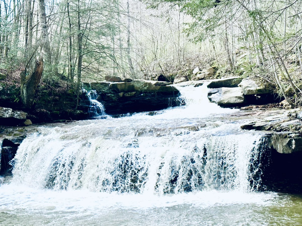 juliechristie74's tweet photo. The next #WaterfallChaserChallenge today was Drawdy Falls, and they did not disappoint!  There was even a bonus falls under the bridge by a serene little park where I ate my lunch! #WV #MyAdventureChallenge #hiking #nature #waterfalls https://t.co/8WIs0nuQ82