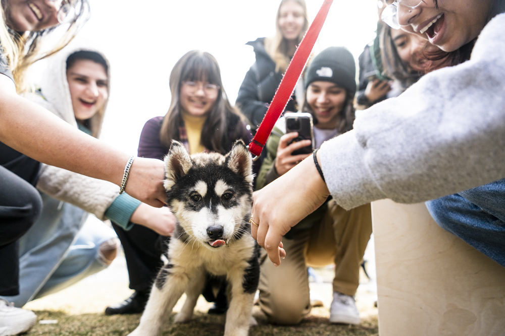 NortheasternCPS's tweet image. Finals are coming up ! We recommend utilizing all the resources available to you so you can be stress-free during finals week ! 

#finalsweek #northeasterncps #nucps #northeasternuniversity