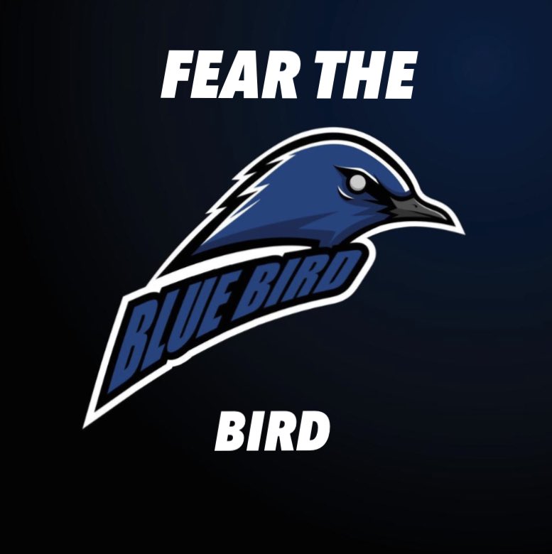 Gutted today’s @ilfcombeafc game was off. was looking forward to seeing the boys carry on winning ways !! But we have a semi final and derby on the way !! boys are coming back !! FEAR THE BIRD !!! #mpc #coyb #bluebirds #fearthebird #upthecombe