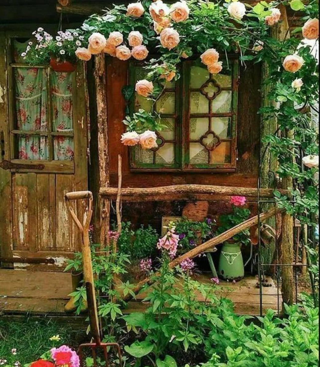 Old garden house and peach roses

#gardenstyle #flowers #gardening