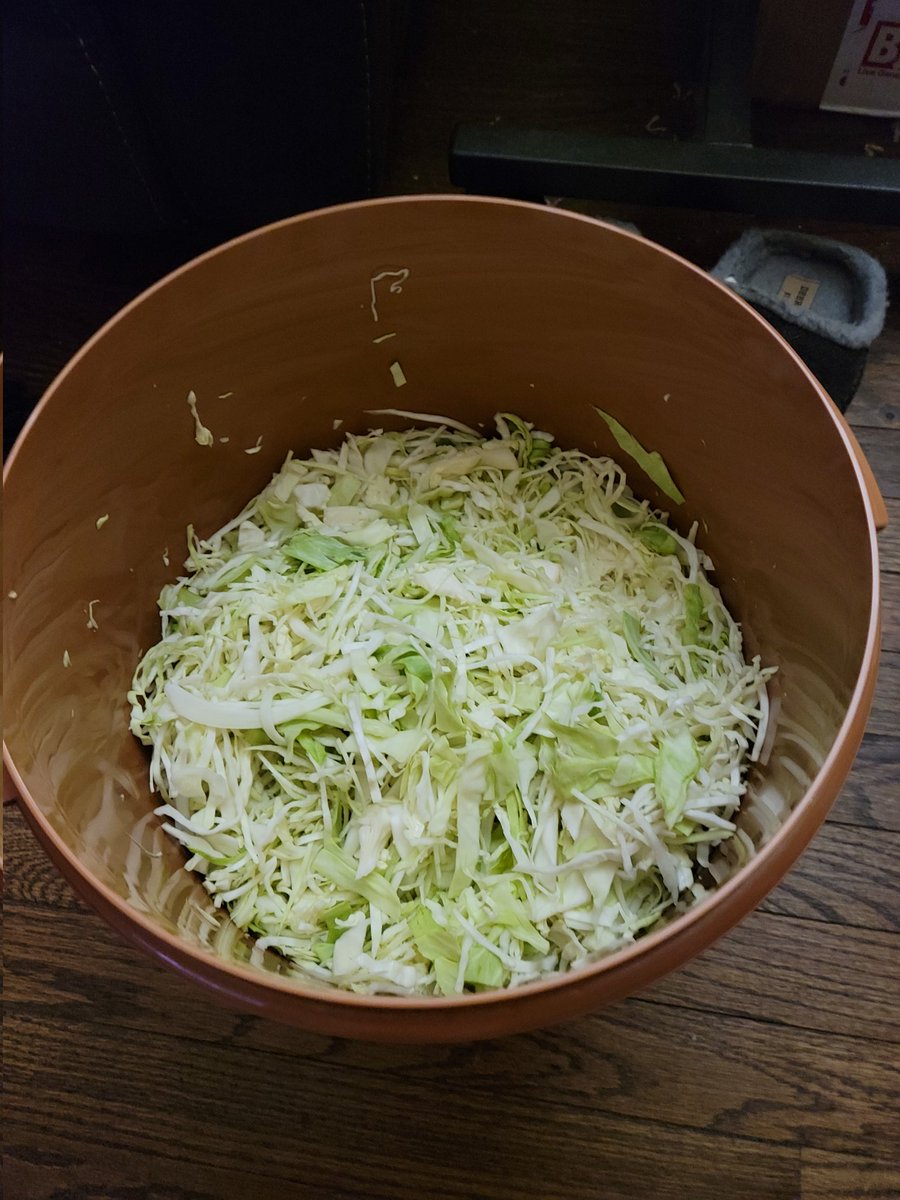 hellgaskitchen's tweet photo. These batches will be in jars in about a month! Classic Sievers Sauerkraut &amp; Spicy Serrabanero 🌶 blend Sauerkraut.
#sauerkraut #hellgaskitchen https://t.co/KWhyBOZ9D3