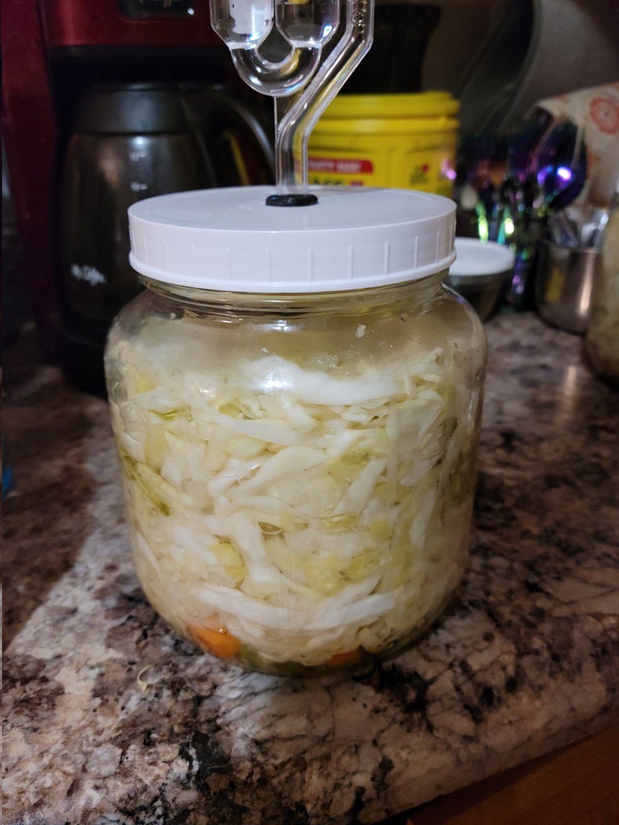 hellgaskitchen's tweet photo. These batches will be in jars in about a month! Classic Sievers Sauerkraut &amp; Spicy Serrabanero 🌶 blend Sauerkraut.
#sauerkraut #hellgaskitchen https://t.co/KWhyBOZ9D3