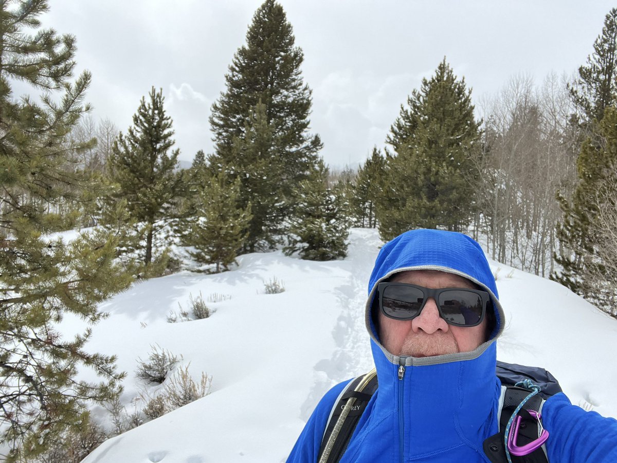 Nothing beats the tranquillity of a solo snow shoe.  Salt Lick Trail #SummitCounty #SnowShoe.