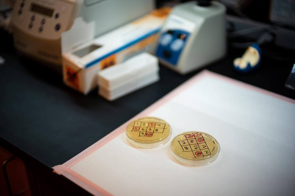 stirwise's tweet photo. 35% of the time it works every time
.
.
#smallvictories #labrat #molecularbiology #cloning #fromthebench #leicam #leicam10 #nokton50mmf1 #iscrm https://t.co/HDobL8NNjx