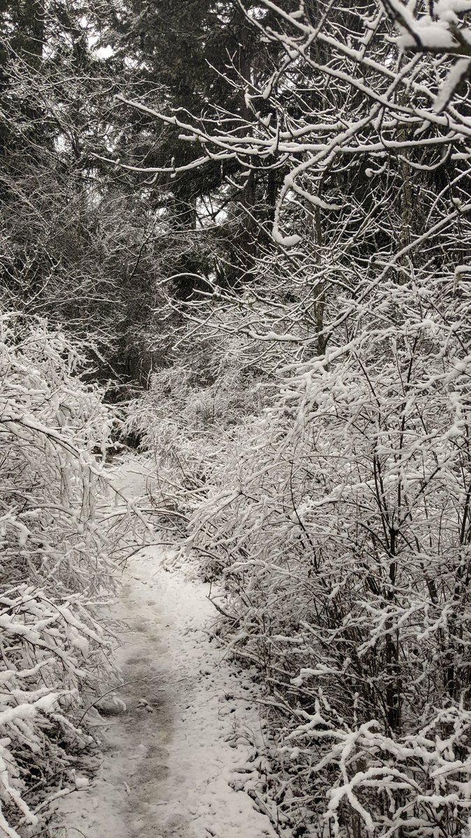 TheFormalGamer's tweet photo. Post a picture of a landscape from somewhere you've been, where the main requirement is you CAN'T be in it. https://t.co/E1IdcPpYR9