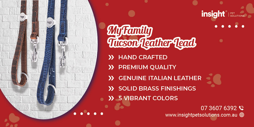 insight_pet's tweet photo. This exquisite, hand-crafted, genuine Italian leather dog lead from the Tucson Collection features antique silver solid brass finishings. 

Visit: https://t.co/vYhJ3HZ8LK 

#leatherlead #dogcollar #leatherdogleash #dogfashion  #leatherdogcollar #dogleash #insightpetsolutions https://t.co/K3boi4Wn5E