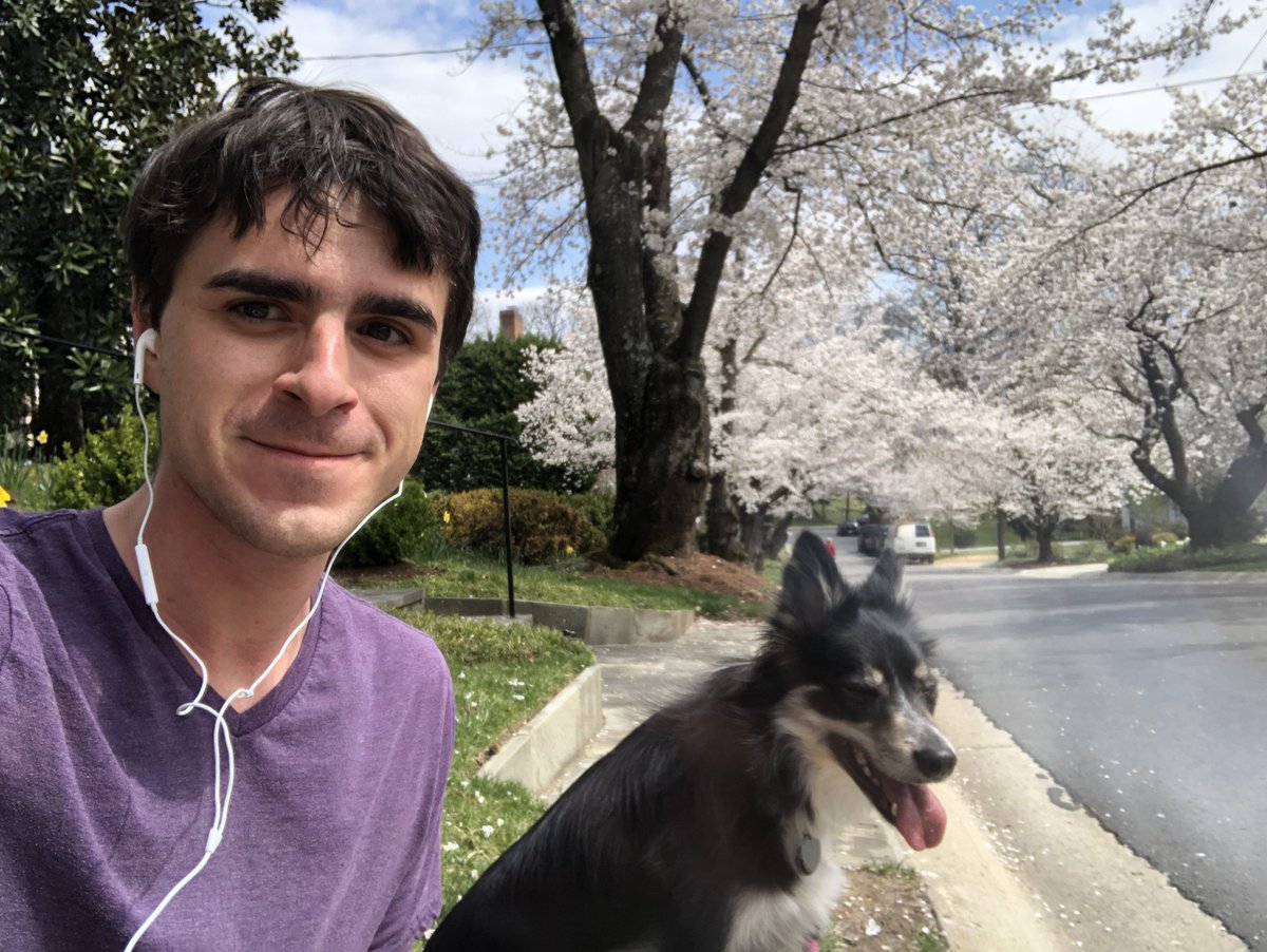 ErinInTheMorn's tweet photo. 4 years ago I went for a run among the Cherry Blossoms. I knew I would be starting hormones a few days later. It was the start of my own personal spring.

Every year they return, it is one of the happiest weeks for me.

They’re back. https://t.co/QVZjwmuH8A