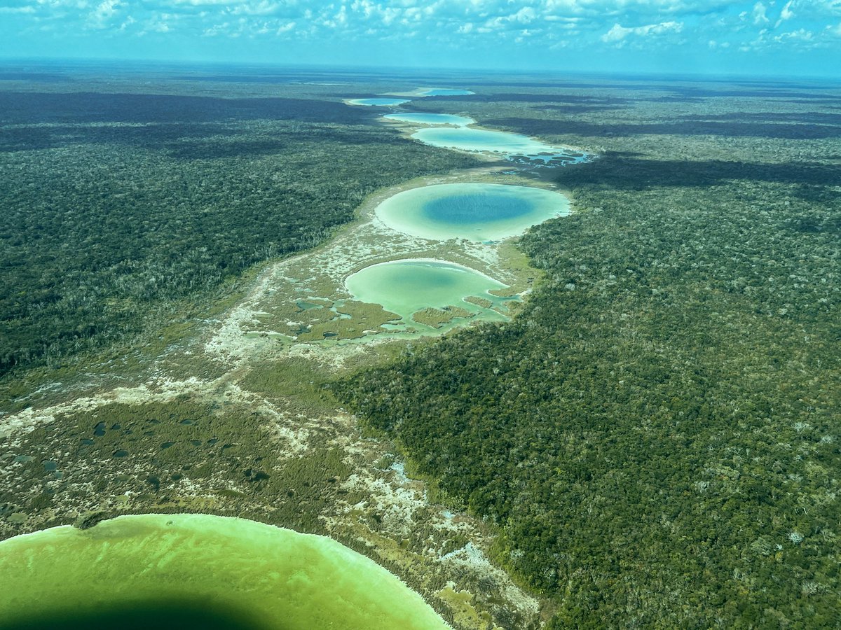 Bellas lagunitas cercanas a donde estamos construyendo el nuevo aeropuerto de Tulum. Llevamos dos días de supervisión de avances del Tren Maya, que es como un sueño que pronto, muy pronto, se volverá realidad.