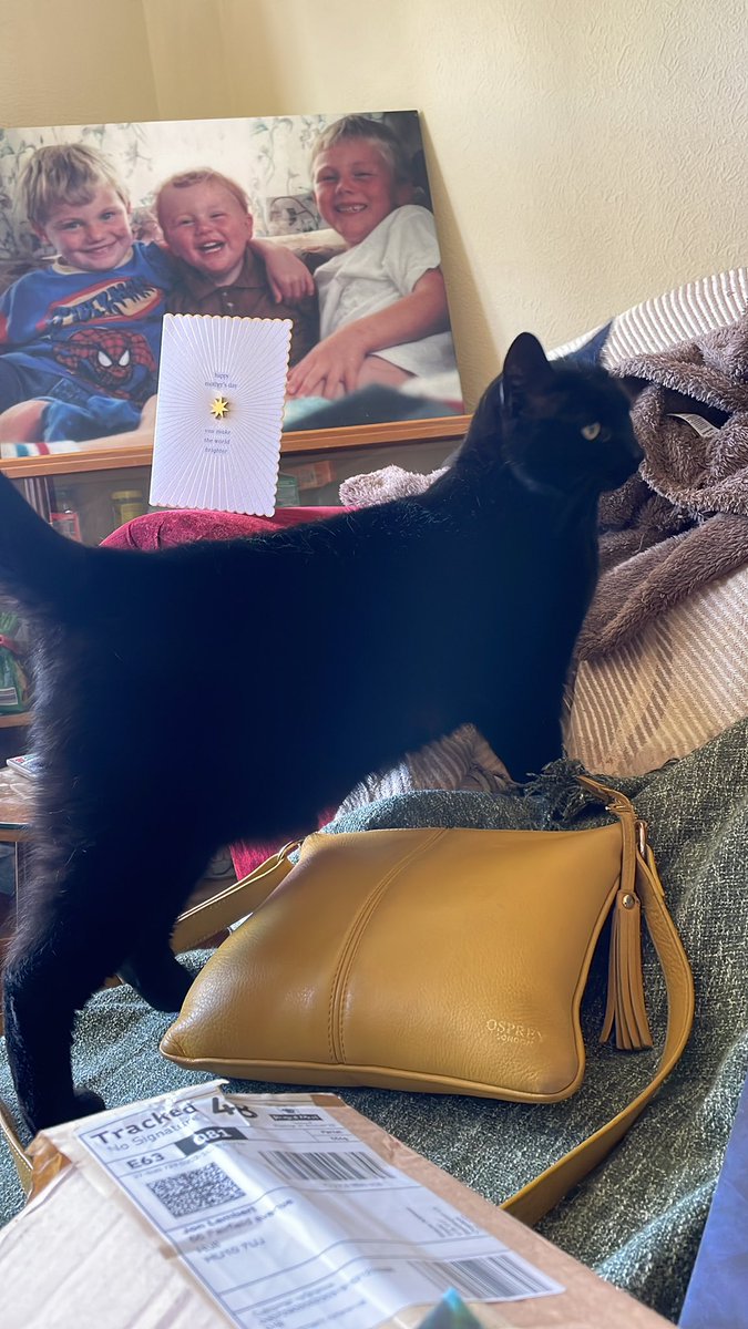 missmidwife65's tweet image. I didn’t send the card….it was one of them in the background #Teds