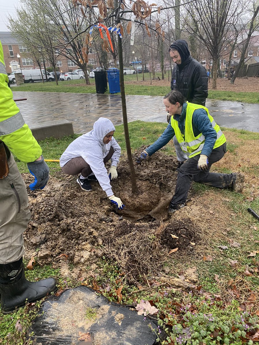 Saints give back! We had the pleasure of helping plant trees today with Arlington County and Dr. Susan Agolini at Tyrol Hill Park. In spite of the rain, we had a great day and planted many trees! ⚜️💙🌳

#saintsgiveback #treeplanting #muddysaturday #treeequity