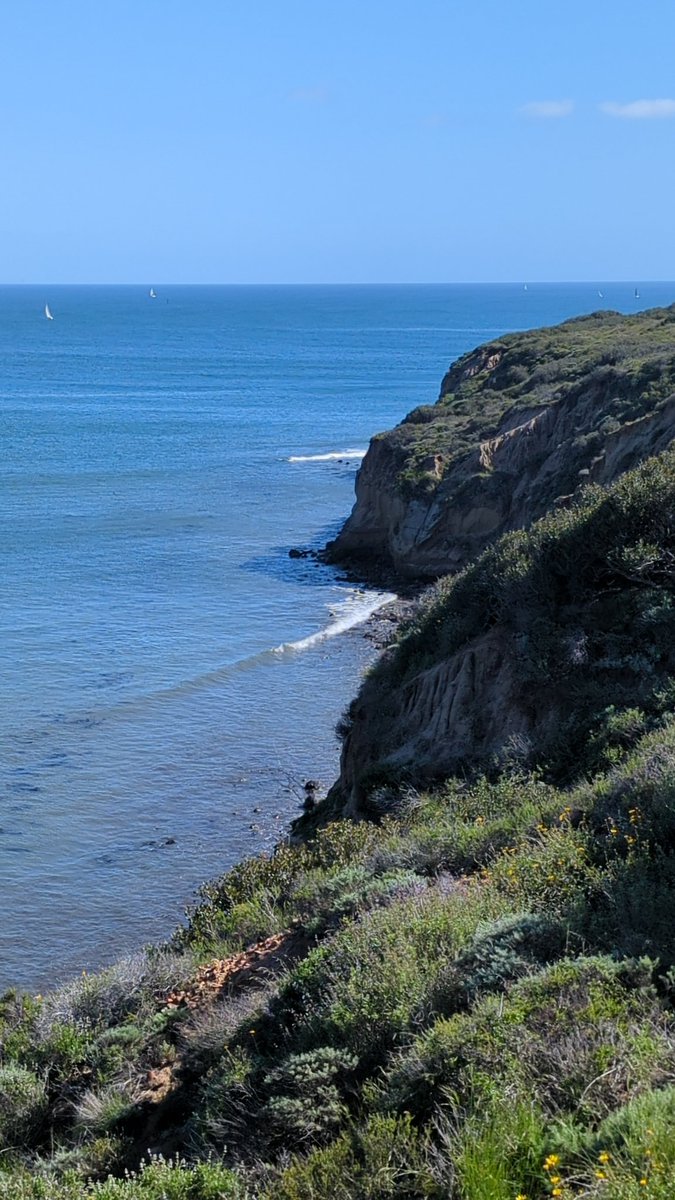 AdVishnuu's tweet photo. A gorgeous day ☀️

#SanDiego #California #photography https://t.co/sHFVjDZ9VH