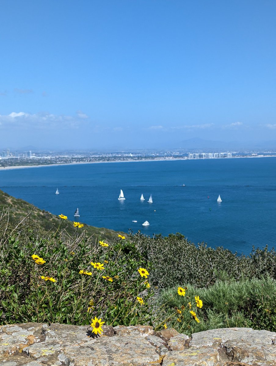 AdVishnuu's tweet photo. A gorgeous day ☀️

#SanDiego #California #photography https://t.co/sHFVjDZ9VH