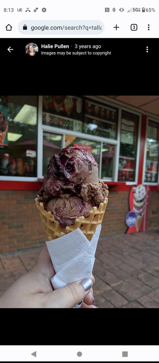 WallyOwi30's tweet image. Bruster's Ice Cream - Tallahassee,Fl. What's something you celebrate with ice cream?
#tallahasseefl #pythonstudents #brustersicecream