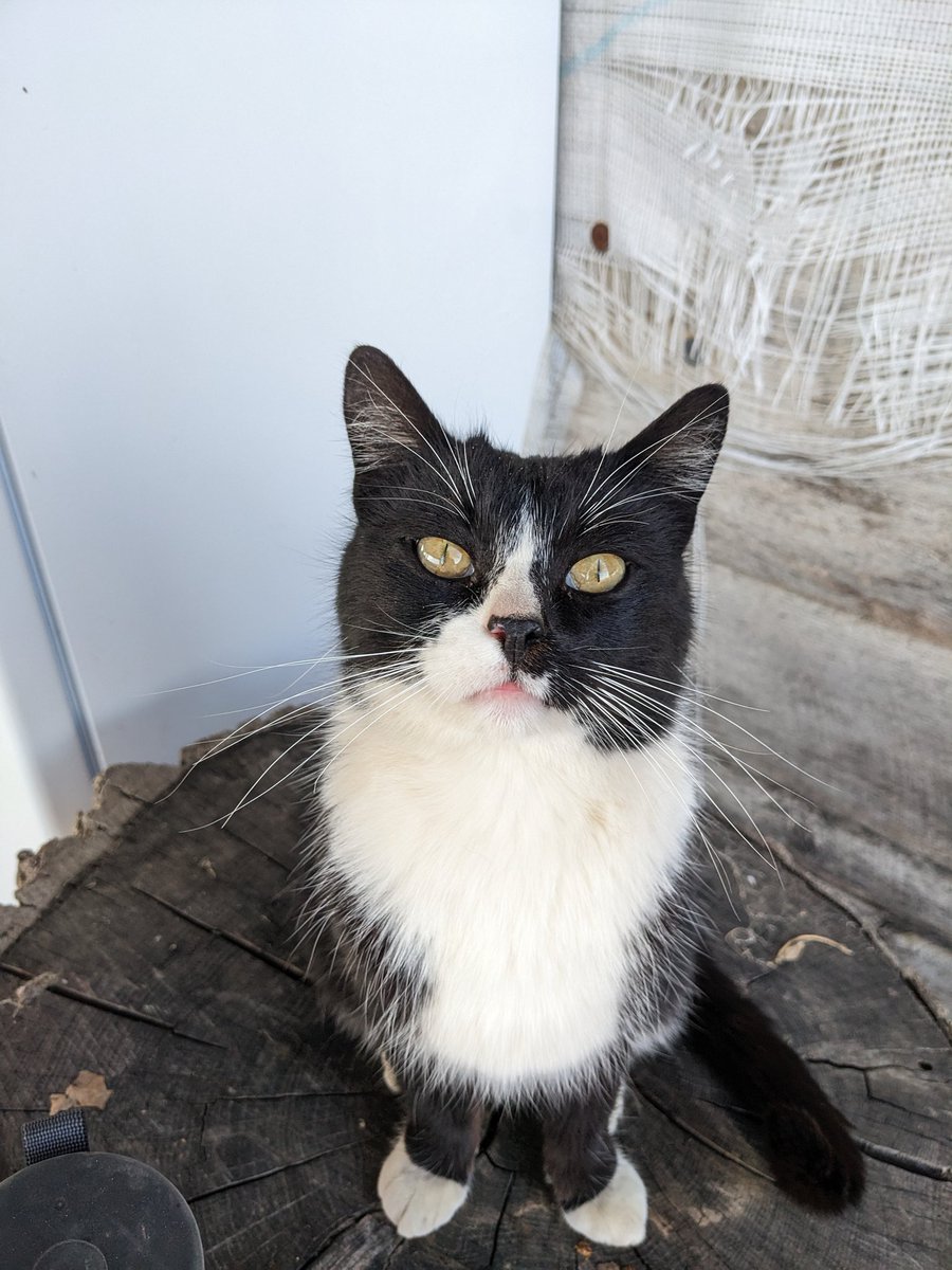 Levi Sowers tweet media