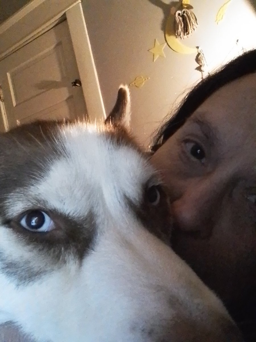 Nannook2021's tweet photo. Goodnight beautiful souls! Hopes your sleeps is love filled and warm! Mom still not doing good, so I the great Nannook kibble powered snuggle doggy is on the job! Loves you all! Woof! Bark! https://t.co/0Shnb1Hdtm