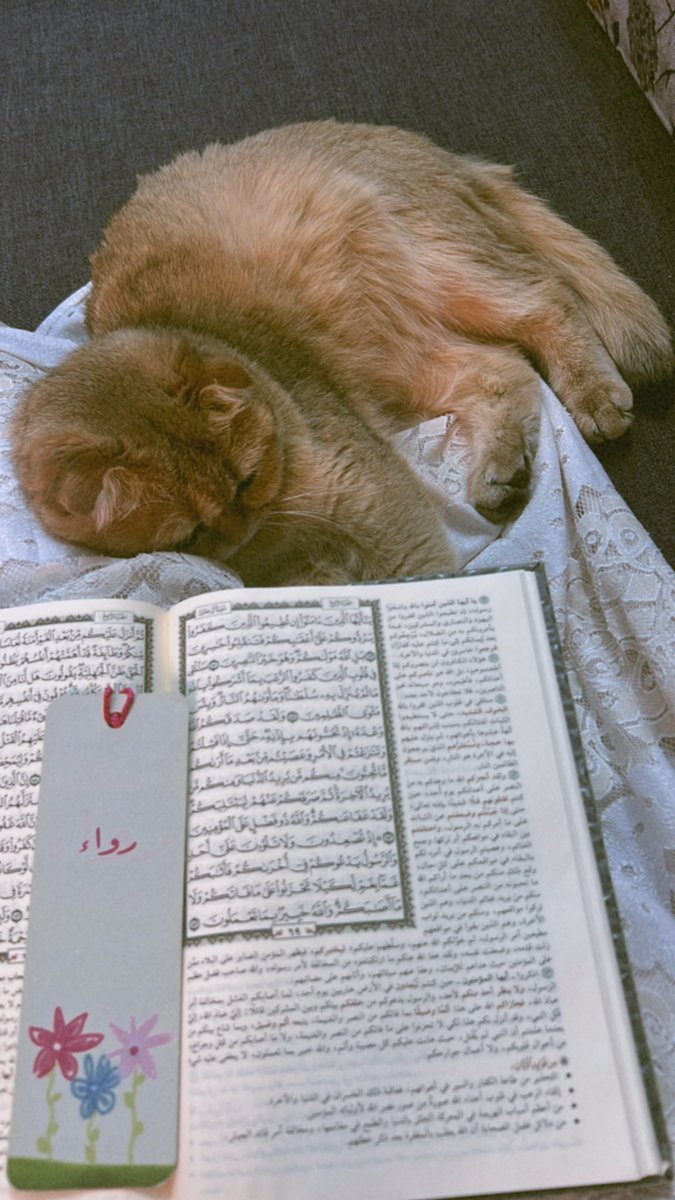rowitte's tweet photo. @N_kez1 نفس اللطافة♥️✨ https://t.co/vqqXWQKmct