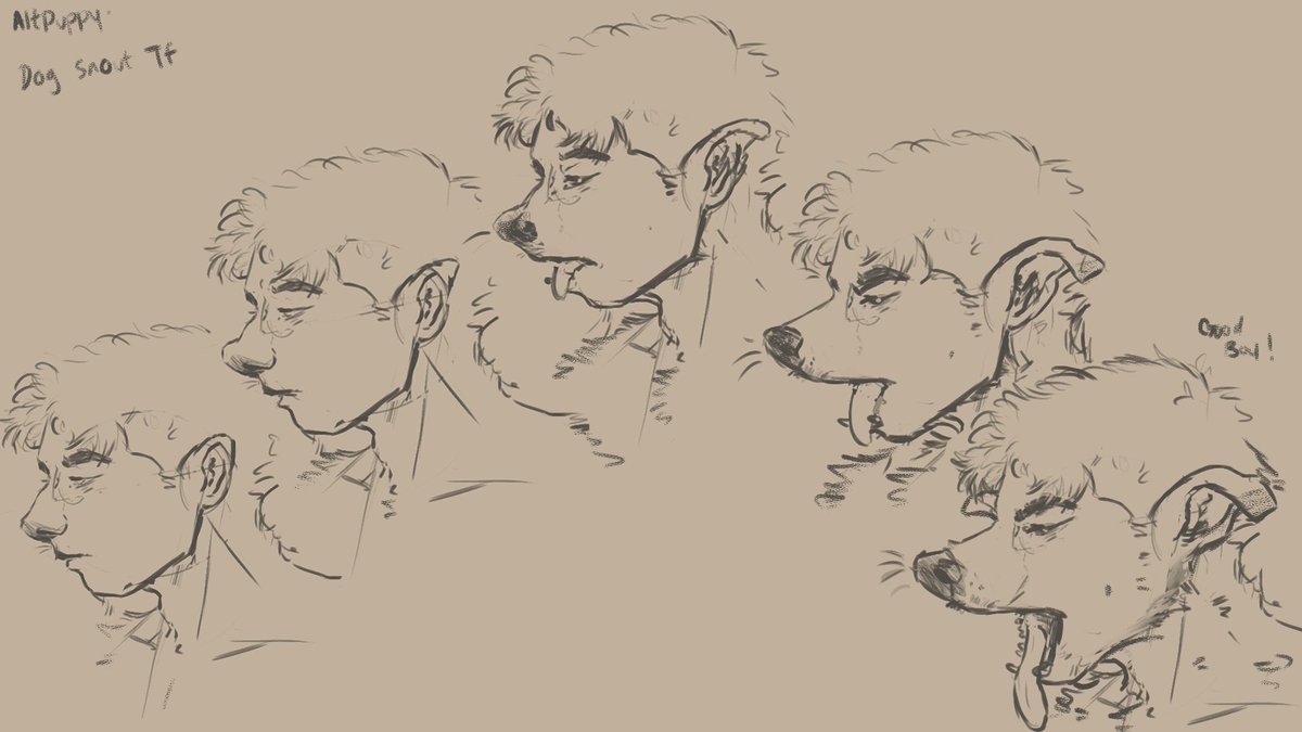 Altpuppyy's tweet photo. Snout TF
#tf #dogtf #transformation #snoutgrowth #mantodog
#Werewolf #animaltf #caninetf https://t.co/7UsapoBvQV