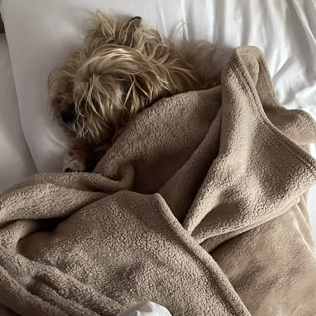 maggotonline's tweet photo. ###realsleepers https://t.co/6d9cxBFeJa