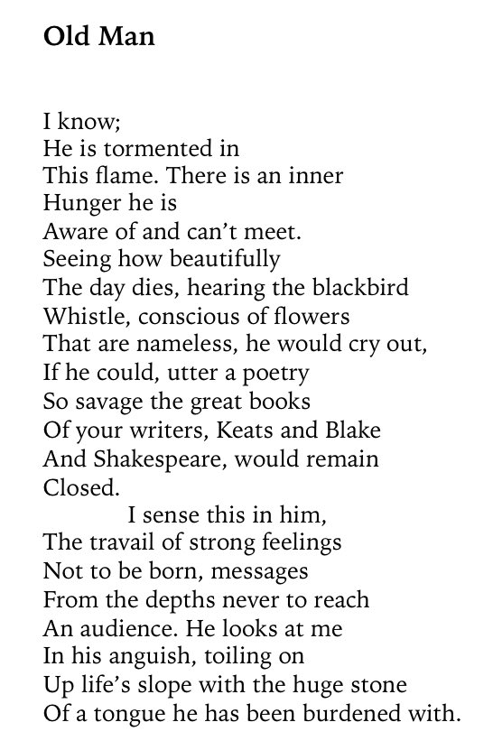 RSThomaspoet's tweet photo. ‘Old Man’ - #RSThomas
(Uncollected Poems, @BloodaxeBooks)
#bardd #barddoniaeth #cerdd 
#poet #poetry #poem #OldMan https://t.co/KOile4Meqt