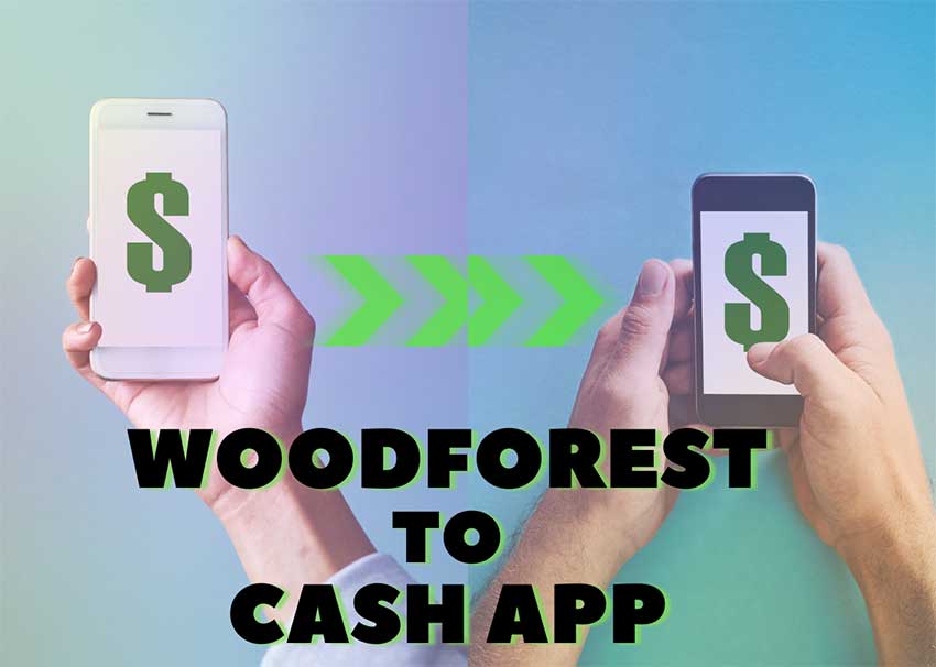 eTransferMoney's tweet image. Transferring money from one bank to another can be a daunting task. In this article, we will guide you on how to transfer money from Woodforest to CashApp. Click on the below link.
#CashApp #Woodforest #eTransferMoney #WoodforesttoCashApp.
😯👇
etransfermoney.com/transfer-money…