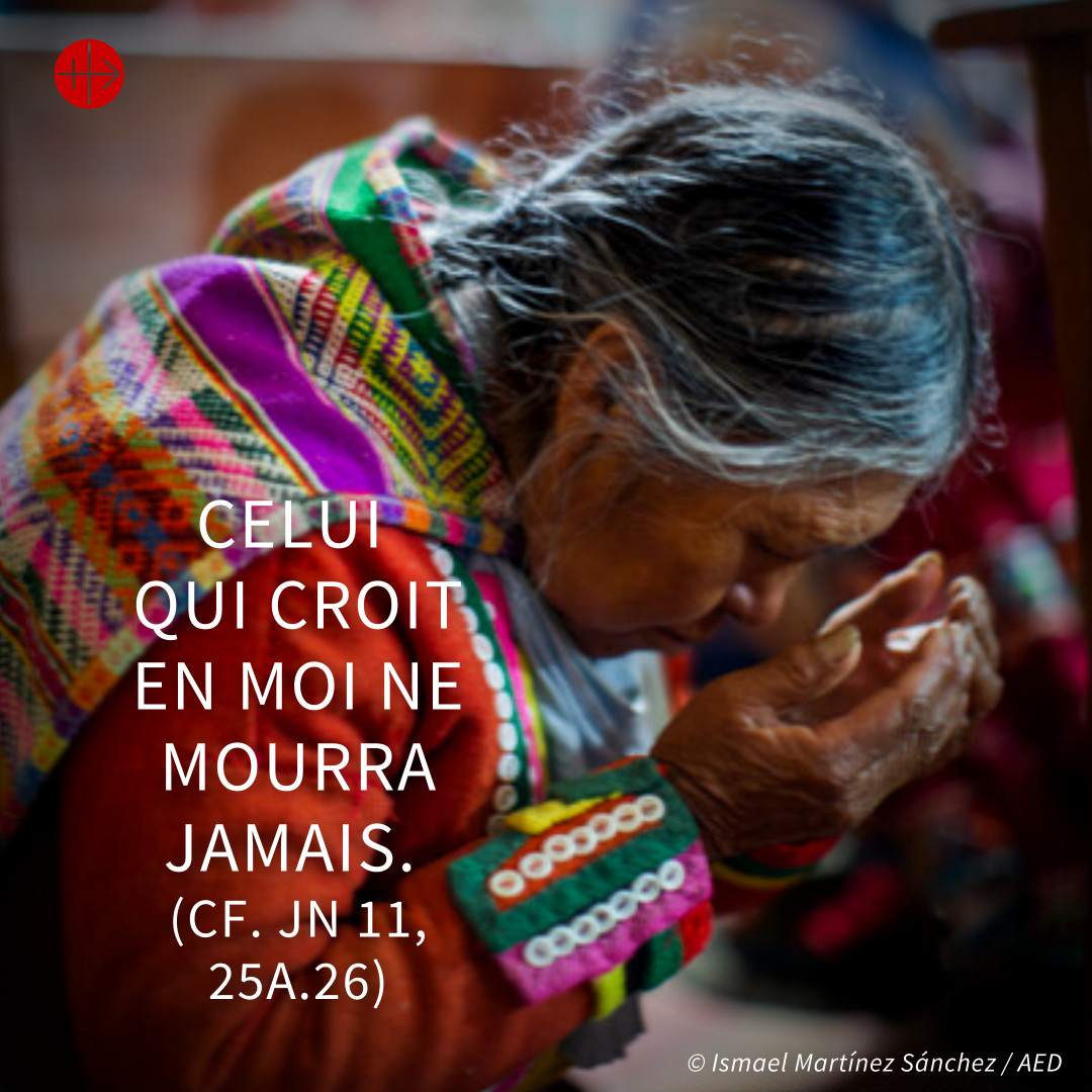 AEDenFrance's tweet photo. En ce cinquième dimanche de #Carême🙏Prions avec et pour nos frères chrétiens à travers le monde...
#careme #40jours #efforts #privations #dons #generosite #chretiens #AED #nigeria #Syrie #liban #bresil #indonesia #Haiti #ukraine #eglise #prions #priere https://t.co/k9xH7kJjOT