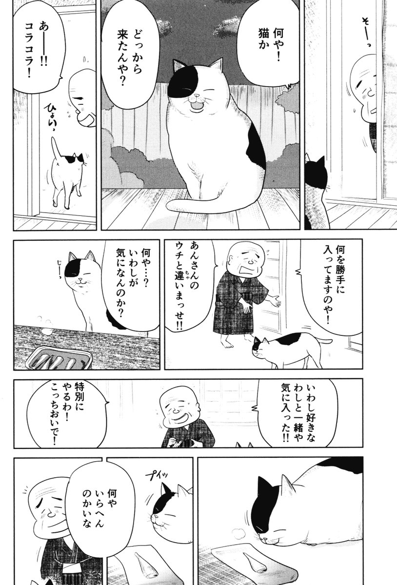 ②思い出食堂『いわし油漬け』つづきです
最終話に続きます 