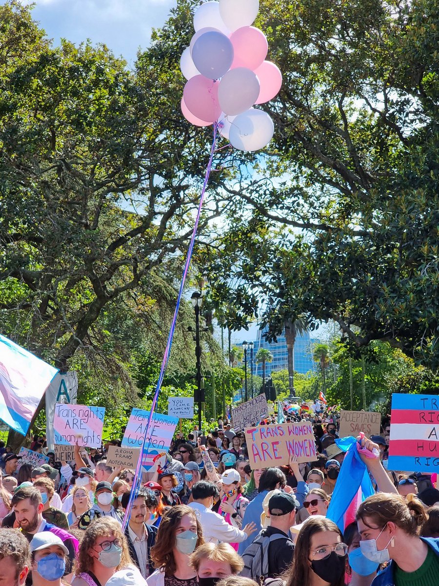 We could gather without strong opposition today because of the strength and bravery of trans rights protesters led by <a href="/transliberated/">Trans Liberation Alliance</a> yesterday -who sent Posie Parker and her far right supporters back to Britain tail between their legs.