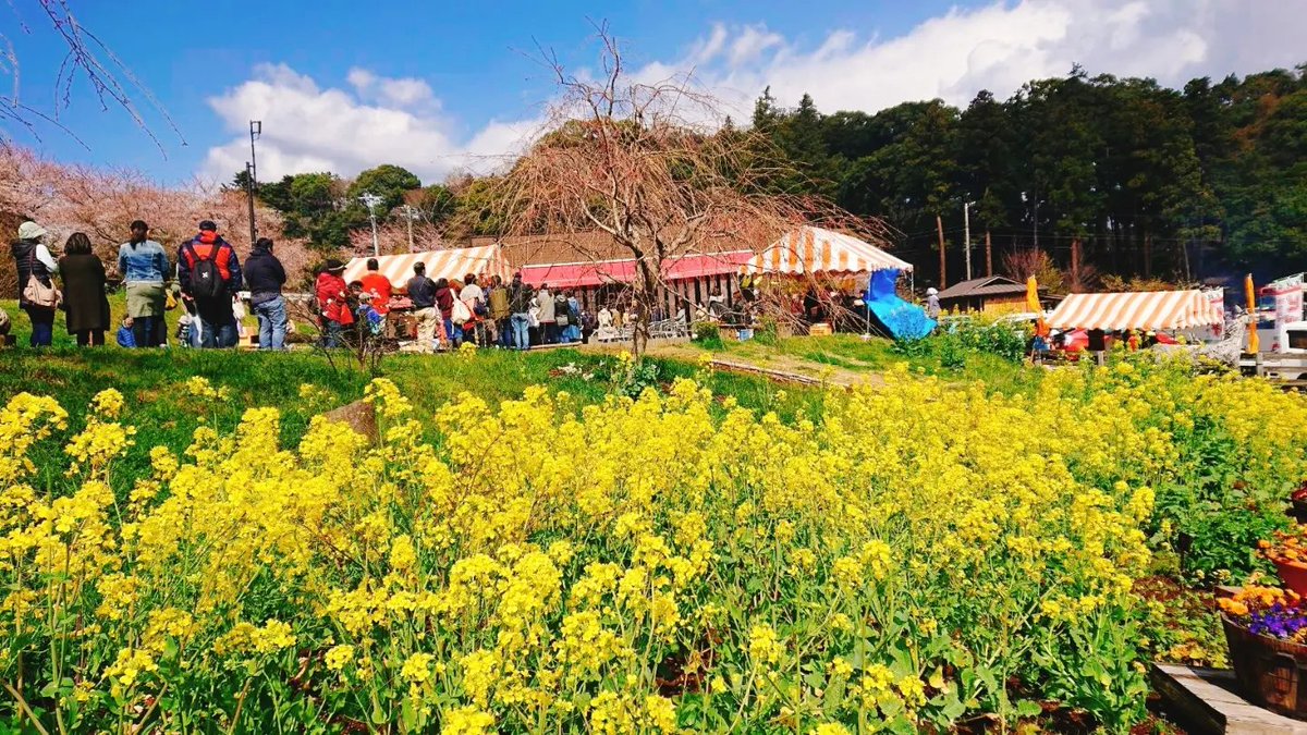 一夜城春祭りのお知らせ💐
数年ぶりとなる春祭り開催いたします🥳地元早川の皆さんによる屋台＆マーケット、鎧塚シェフが作る限定スイーツやお楽しみ袋、豪華賞品が当たるくじ引き等などイベント盛り沢山です😊
春祭り開催日🌸
4月2日(日)
10:00～15:00(雨天中止)
皆さまのご来店お待ちしております🌸