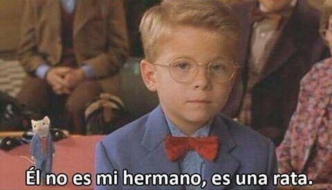 gioviferrer's tweet photo. mi hermano me dijo de pedir algo para comer, le dije que no puedo pq no tengo plata. fue, compró fiambre y pan, armó 5 sanguchazos, los llevó a la mesa, puso la tele y ahí está, comiéndose los 5 él. esperaban un final tierno? pues no mi ciela. encima se está tomando mi coca. https://t.co/FA3yoBzvem