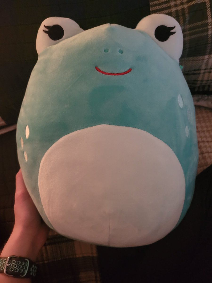 [ 3/25/2023 ] 💚 I'm trying to be okay, &amp; that's all I can do at the end of the day; I spent time outside to plant a cherry tomato, w/ 2 sweet mints, &amp; a basil as it's companions.  My s.o. ordered me a squishmallow as my bedtime buddy, &amp; I'm doing my best w/ Duolingo!
