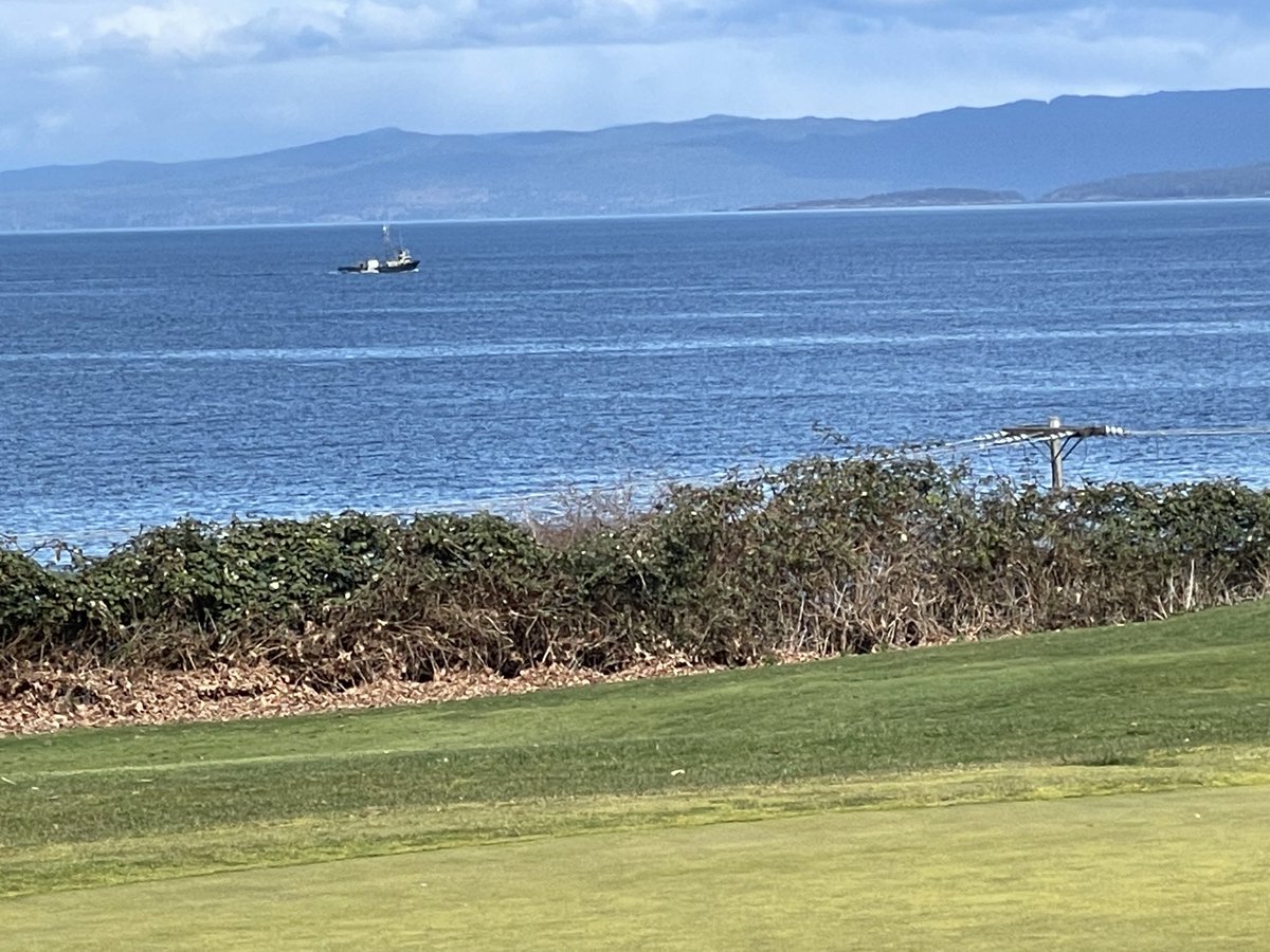 slimschadey tweet media